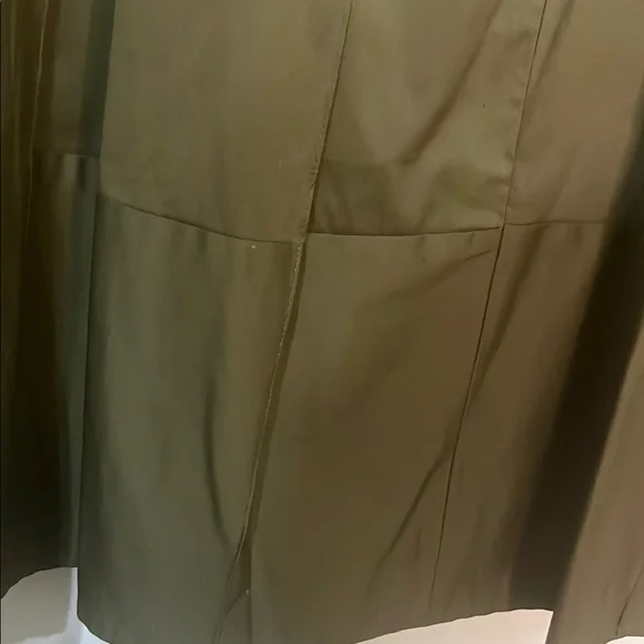 Ann Taylor Olive Green Midi A-Line Skirt with Pleats for Casual Work - Picture 6 of 6